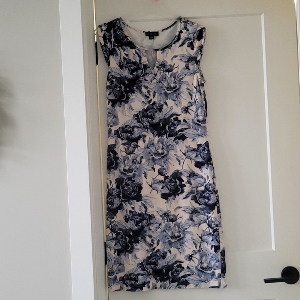 Ladies dress